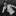 Iggy Pop