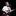 Manu Chao